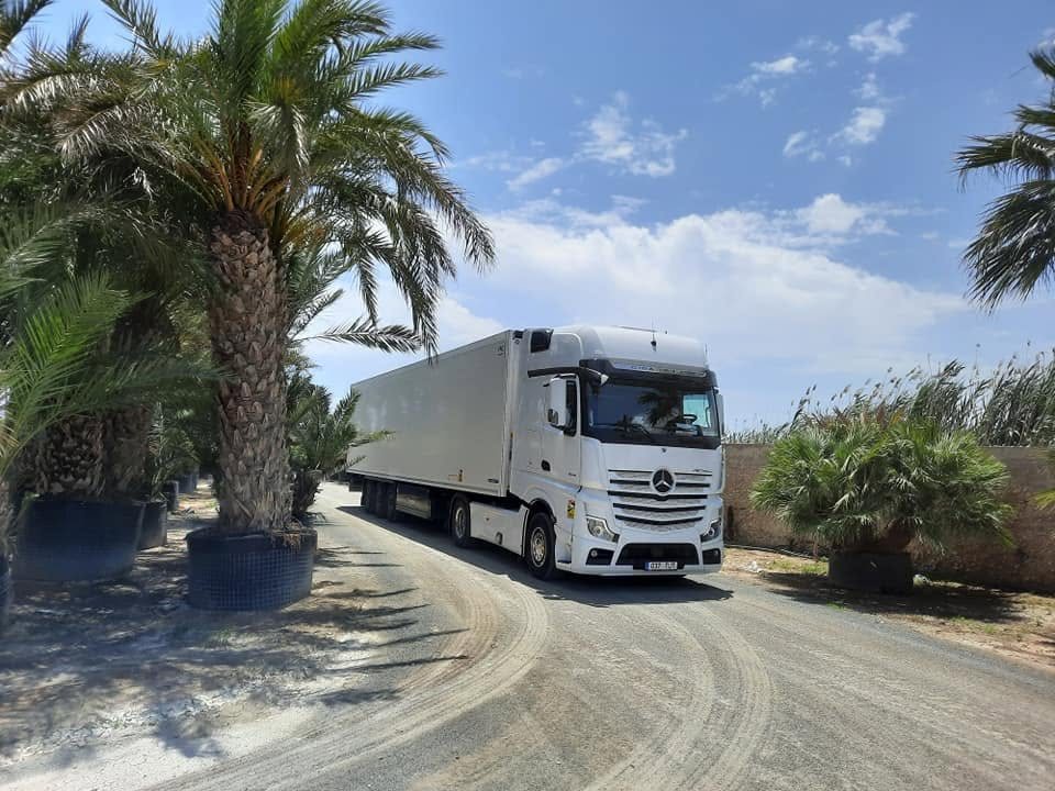 Decardo truck with a reefer trailer among palm trees
