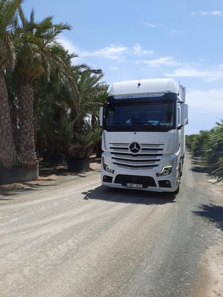 Decardo Mercedes Actros on a road among palm trees